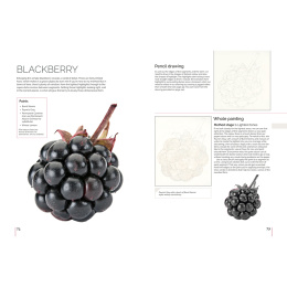 Anna Mason's Watercolour World i gruppen Hobby & Kreativitet / Bøker / Inspirasjonsbøker hos Pen Store (137202)