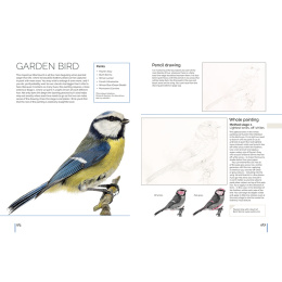 Anna Mason's Watercolour World i gruppen Hobby & Kreativitet / Bøker / Inspirasjonsbøker hos Pen Store (137202)