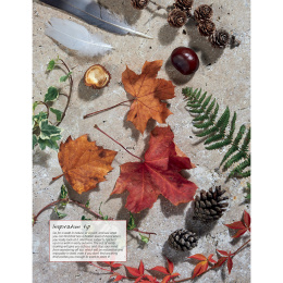 Anna Mason's Watercolour World i gruppen Hobby & Kreativitet / Bøker / Inspirasjonsbøker hos Pen Store (137202)