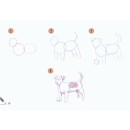 Draw 30: Animals i gruppen Hobby & Kreativitet / Bøker / Instruksjonsbøker hos Pen Store (137210)