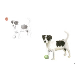 Draw 30: Animals i gruppen Hobby & Kreativitet / Bøker / Instruksjonsbøker hos Pen Store (137210)