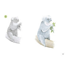 Draw 30: Animals i gruppen Hobby & Kreativitet / Bøker / Instruksjonsbøker hos Pen Store (137210)