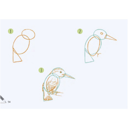 Draw 30: Animals i gruppen Hobby & Kreativitet / Bøker / Instruksjonsbøker hos Pen Store (137210)