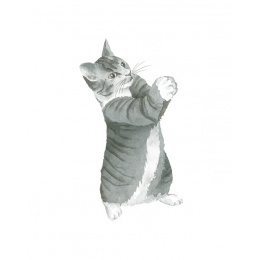 Draw 30: Cats i gruppen Hobby & Kreativitet / Bøker / Instruksjonsbøker hos Pen Store (137211)