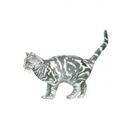 Draw 30: Cats i gruppen Hobby & Kreativitet / Bøker / Instruksjonsbøker hos Pen Store (137211)