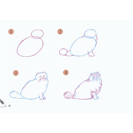 Draw 30: Cats i gruppen Hobby & Kreativitet / Bøker / Instruksjonsbøker hos Pen Store (137211)