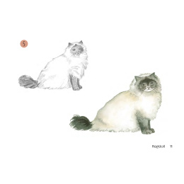 Draw 30: Cats i gruppen Hobby & Kreativitet / Bøker / Instruksjonsbøker hos Pen Store (137211)