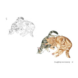 Draw 30: Cats i gruppen Hobby & Kreativitet / Bøker / Instruksjonsbøker hos Pen Store (137211)