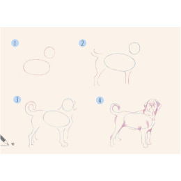 Draw 30: Dogs i gruppen Hobby & Kreativitet / Bøker / Instruksjonsbøker hos Pen Store (137213)