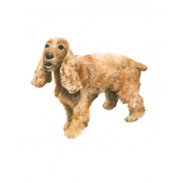 Draw 30: Dogs i gruppen Hobby & Kreativitet / Bøker / Instruksjonsbøker hos Pen Store (137213)