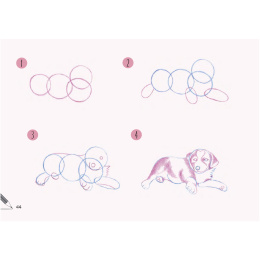 Draw 30: Dogs i gruppen Hobby & Kreativitet / Bøker / Instruksjonsbøker hos Pen Store (137213)