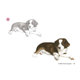 Draw 30: Dogs i gruppen Hobby & Kreativitet / Bøker / Instruksjonsbøker hos Pen Store (137213)