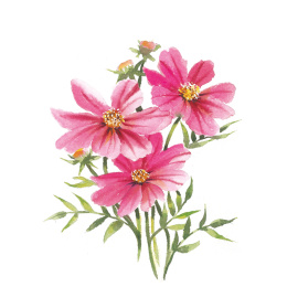 Draw 30: Flowers i gruppen Hobby & Kreativitet / Bøker / Instruksjonsbøker hos Pen Store (137215)