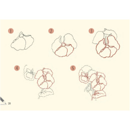 Draw 30: Flowers i gruppen Hobby & Kreativitet / Bøker / Instruksjonsbøker hos Pen Store (137215)