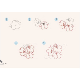 Draw 30: Flowers i gruppen Hobby & Kreativitet / Bøker / Instruksjonsbøker hos Pen Store (137215)
