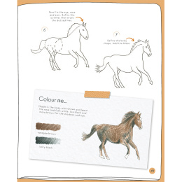 Draw in 10 Minutes: Animals i gruppen Hobby & Kreativitet / Bøker / Instruksjonsbøker hos Pen Store (137218)