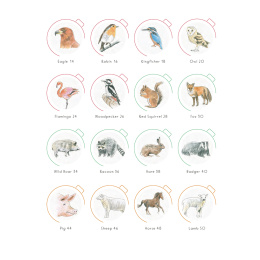 Draw in 10 Minutes: Animals i gruppen Hobby & Kreativitet / Bøker / Instruksjonsbøker hos Pen Store (137218)