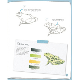 Draw in 10 Minutes: Animals i gruppen Hobby & Kreativitet / Bøker / Instruksjonsbøker hos Pen Store (137218)