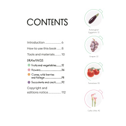 Draw in 10 Minutes: Botanicals i gruppen Hobby & Kreativitet / Bøker / Instruksjonsbøker hos Pen Store (137219)