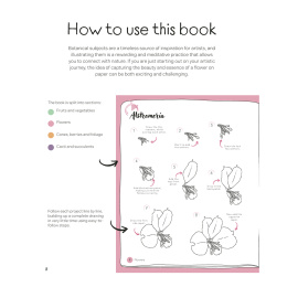 Draw in 10 Minutes: Botanicals i gruppen Hobby & Kreativitet / Bøker / Instruksjonsbøker hos Pen Store (137219)