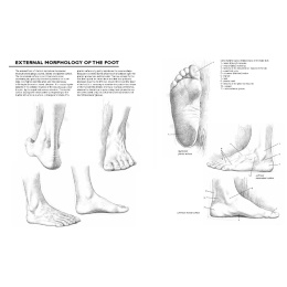 Drawing: A Complete Guide i gruppen Hobby & Kreativitet / Bøker / Inspirasjonsbøker hos Pen Store (137220)