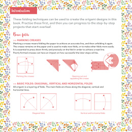 Flower Power! 25 Origami Projects i gruppen Hobby & Kreativitet / Bøker / Instruksjonsbøker hos Pen Store (137221)