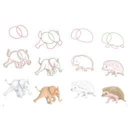 How to Draw: Baby Animals i gruppen Hobby & Kreativitet / Bøker / Instruksjonsbøker hos Pen Store (137223)