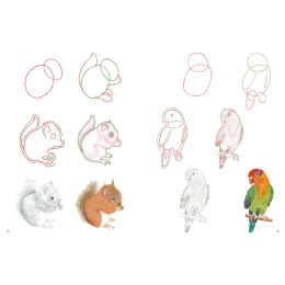How to Draw: Baby Animals i gruppen Hobby & Kreativitet / Bøker / Instruksjonsbøker hos Pen Store (137223)