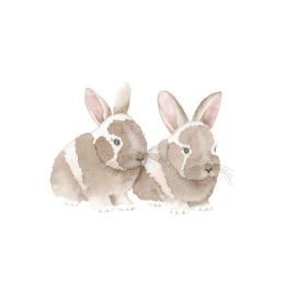How to Draw: Baby Animals i gruppen Hobby & Kreativitet / Bøker / Instruksjonsbøker hos Pen Store (137223)