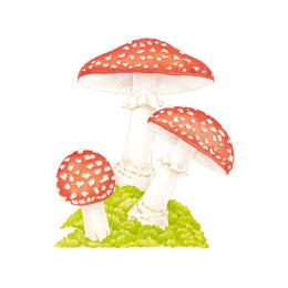 How to Draw: Nature i gruppen Hobby & Kreativitet / Bøker / Instruksjonsbøker hos Pen Store (137224)