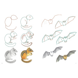 How to Draw: Nature i gruppen Hobby & Kreativitet / Bøker / Instruksjonsbøker hos Pen Store (137224)