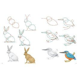 How to Draw: Nature i gruppen Hobby & Kreativitet / Bøker / Instruksjonsbøker hos Pen Store (137224)