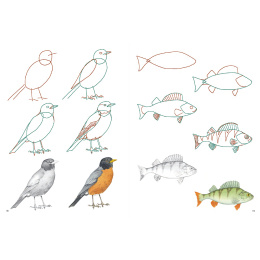 How to Draw: Nature i gruppen Hobby & Kreativitet / Bøker / Instruksjonsbøker hos Pen Store (137224)