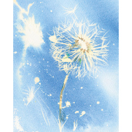 Loose and Lively Flowers in Watercolour, Inks & Mixed Media i gruppen Hobby & Kreativitet / Bøker / Inspirasjonsbøker hos Pen Store (137226)