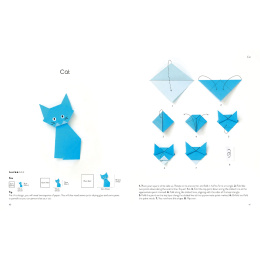 Origami for the Absolute Beginner i gruppen Hobby & Kreativitet / Bøker / Instruksjonsbøker hos Pen Store (137227)
