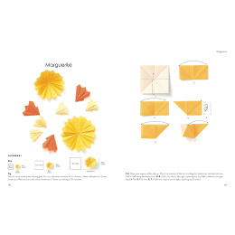 Origami for the Absolute Beginner i gruppen Hobby & Kreativitet / Bøker / Instruksjonsbøker hos Pen Store (137227)