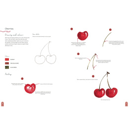 Paint 50: Watercolour Nature i gruppen Hobby & Kreativitet / Bøker / Instruksjonsbøker hos Pen Store (137229)