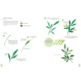 Paint 50: Watercolour Nature i gruppen Hobby & Kreativitet / Bøker / Instruksjonsbøker hos Pen Store (137229)