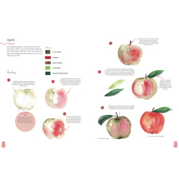 Paint 50: Watercolour Nature i gruppen Hobby & Kreativitet / Bøker / Instruksjonsbøker hos Pen Store (137229)