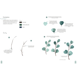 Paint 50: Watercolour Nature i gruppen Hobby & Kreativitet / Bøker / Instruksjonsbøker hos Pen Store (137229)