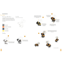 Paint 50: Watercolour Nature i gruppen Hobby & Kreativitet / Bøker / Instruksjonsbøker hos Pen Store (137229)