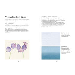 The Colour Mixing Guide: Watercolour Botanicals i gruppen Hobby & Kreativitet / Bøker / Inspirasjonsbøker hos Pen Store (137234)