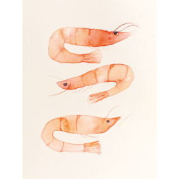 The Colour Mixing Guide: Watercolour Seashore i gruppen Hobby & Kreativitet / Bøker / Inspirasjonsbøker hos Pen Store (137235)