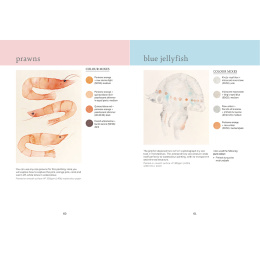 The Colour Mixing Guide: Watercolour Seashore i gruppen Hobby & Kreativitet / Bøker / Inspirasjonsbøker hos Pen Store (137235)