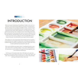 The Colour Mixing Guide: Watercolour Woodland i gruppen Hobby & Kreativitet / Bøker / Inspirasjonsbøker hos Pen Store (137236)