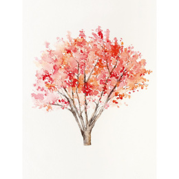 The Colour Mixing Guide: Watercolour Woodland i gruppen Hobby & Kreativitet / Bøker / Inspirasjonsbøker hos Pen Store (137236)