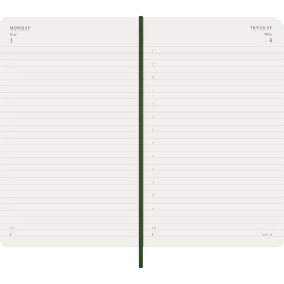 Kalender 12M Daily 2027 Softcover Large Myrtle Green i gruppen  Papir & Blokk / Kalendere / 12 md kalendere hos Pen Store (137430)