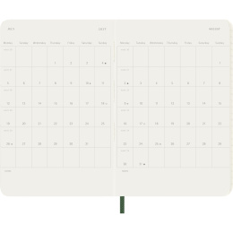 Kalender 12M Daily 2027 Softcover Pocket Myrtle Green i gruppen  Papir & Blokk / Kalendere / 12 md kalendere hos Pen Store (137431)