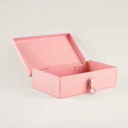 Storage Case Bright Pink i gruppen Hobby & Kreativitet / Organisere / Oppbevaringsbokser hos Pen Store (137540)
