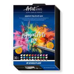Pigment Arts Big Brush Pen 30-sett + i gruppen Penner / Kunstnerpenner / Penselpenner hos Pen Store (137632)